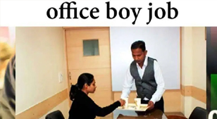 Office boy job