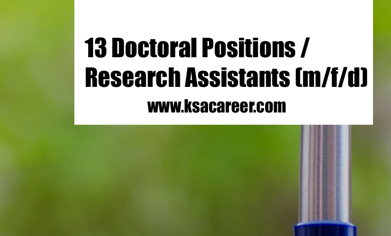 Doctoral Positions