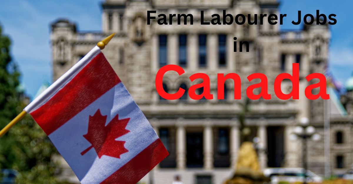 Farm Labourer Jobs in Canada
