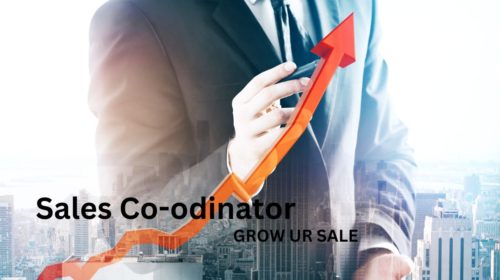 Sales Coordinator Required in Dubai