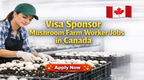 Mushroom Farm Worker Jobs in Canada