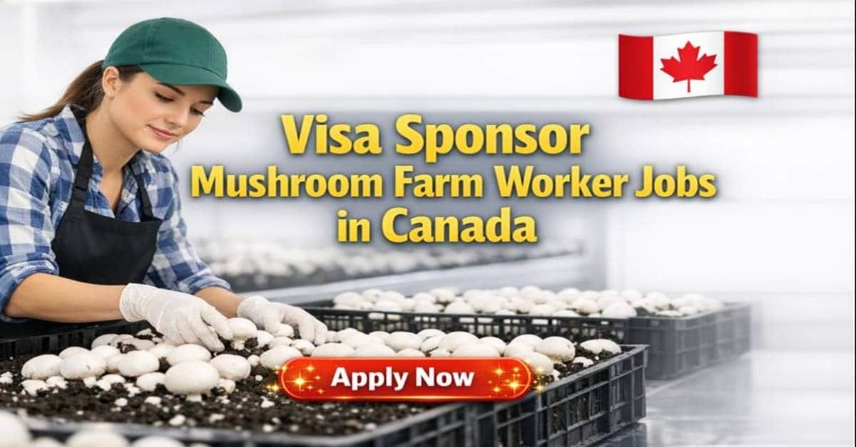 Mushroom Farm Worker Jobs in Canada
