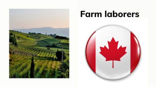 new Jobs for Farm laborers in Canada