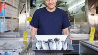 Fish Plant Worker Vacancies in Canada