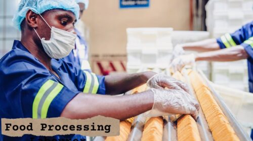Food Processing Labourer Jobs in Canada