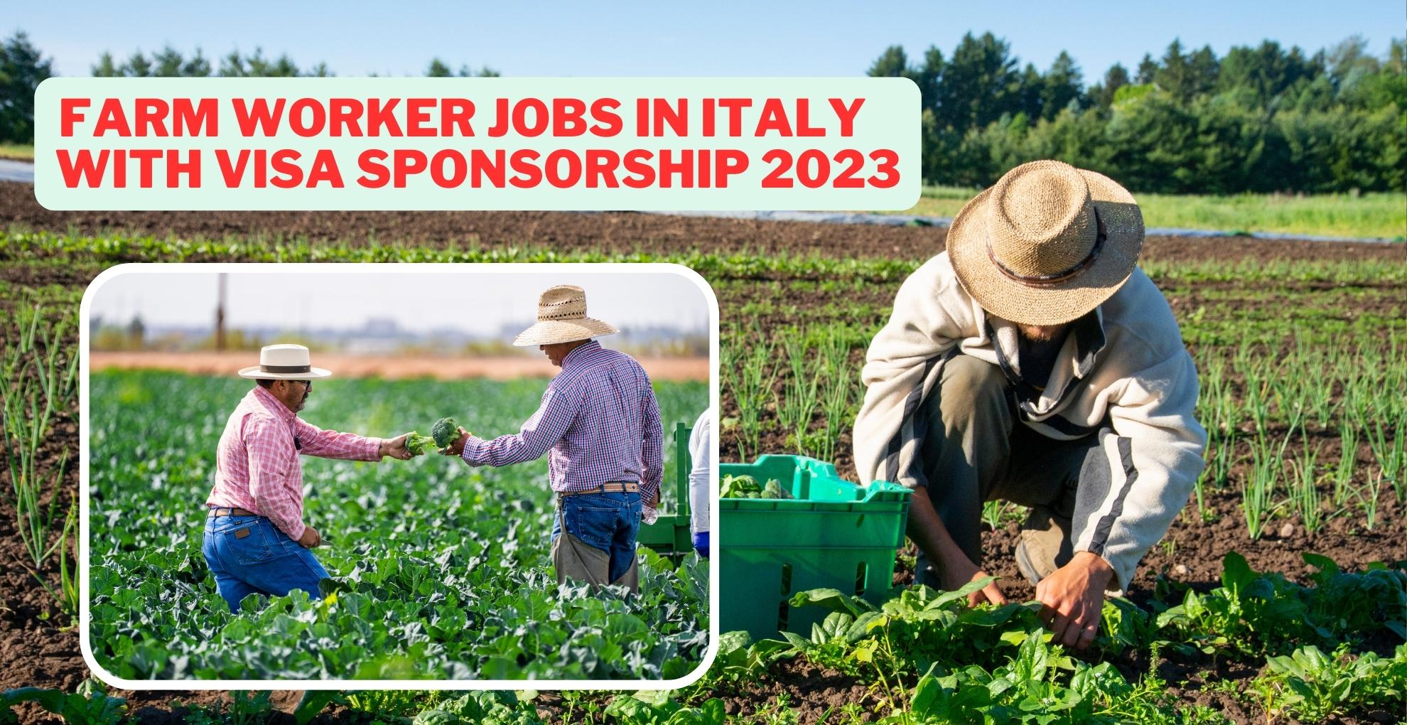 farm worker jobs in italy with visa sponsorship 2023