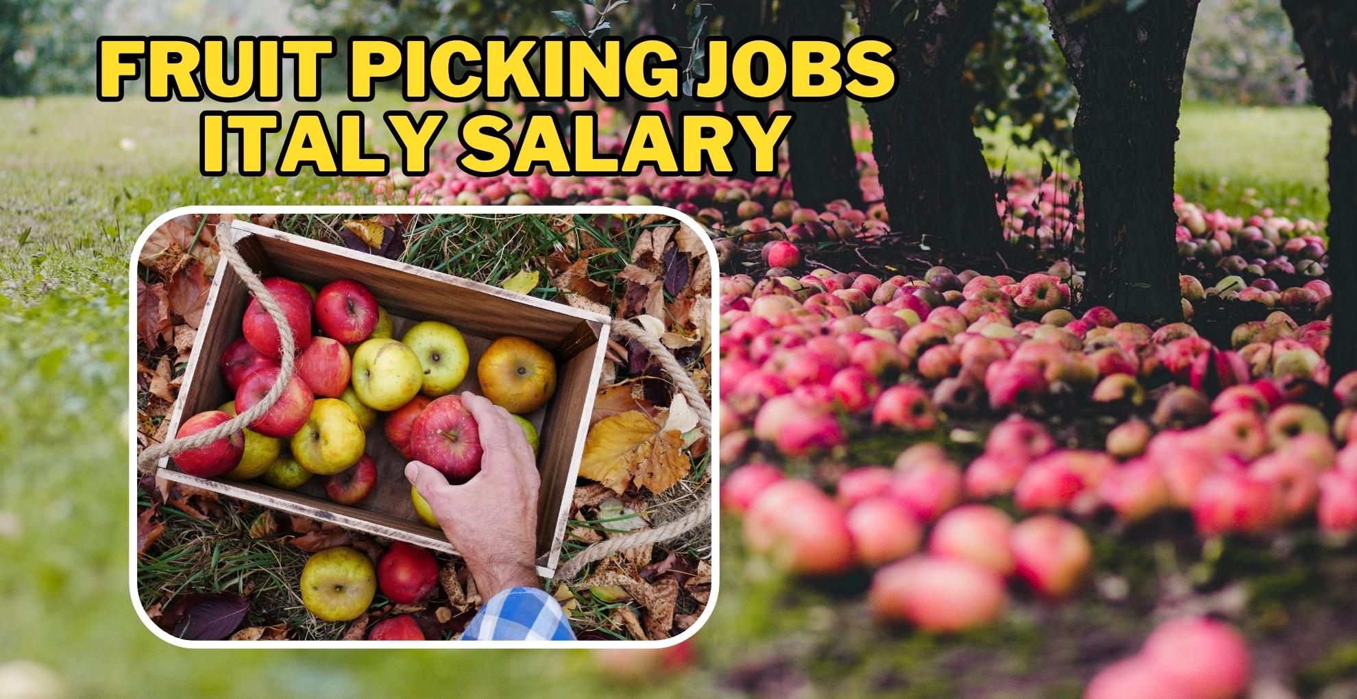 Fruit Picking Jobs Italy Salary