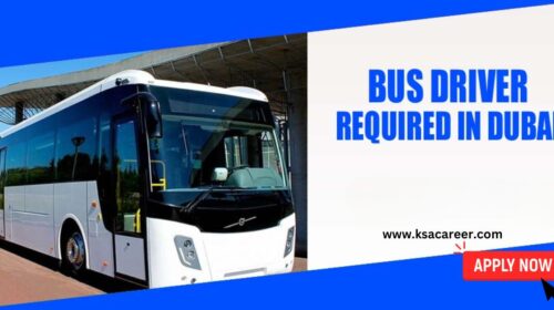 Bus Driver Jobs in Dubai