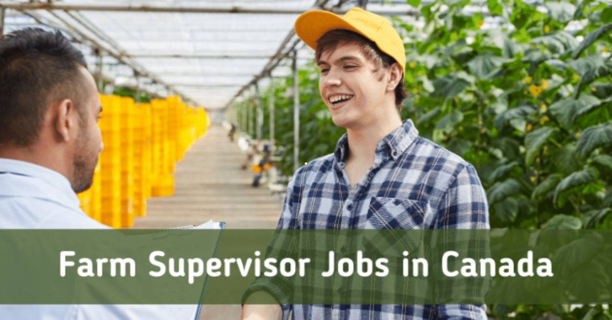 Farm Supervisor Jobs in Canada