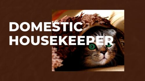 Domestic Housekeeper Jobs Canada