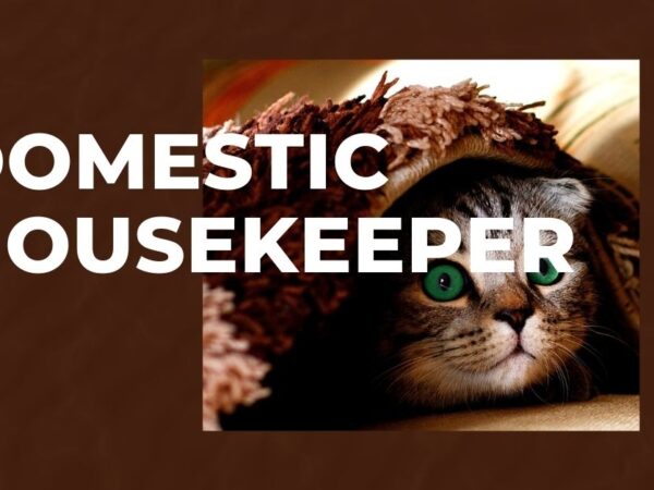 Domestic Housekeeper Jobs Canada