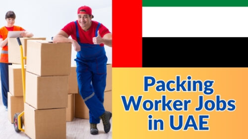Opportunities in Dubai: A Comprehensive Guide to Packing Worker Jobs