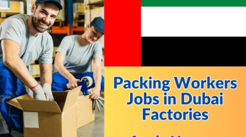 Packing Workers Jobs in Dubai Factories