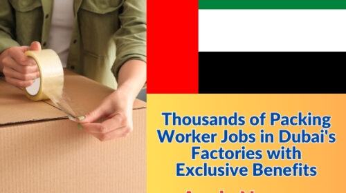 Thousands of Packing Worker Jobs in Dubai's Factories with Exclusive Benefits