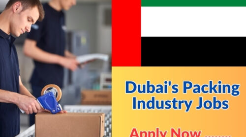 Unleash Your Potential in Dubai's Packing Industry