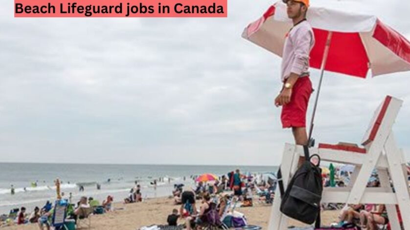 Beach Lifeguard jobs in Canada