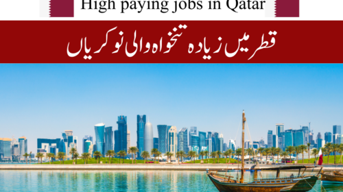 Qatar Highly Paid Jobs