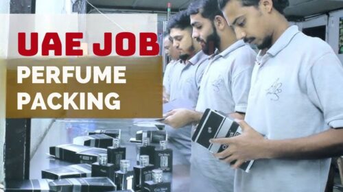 Perfume Packing Helper Jobs in Dubai