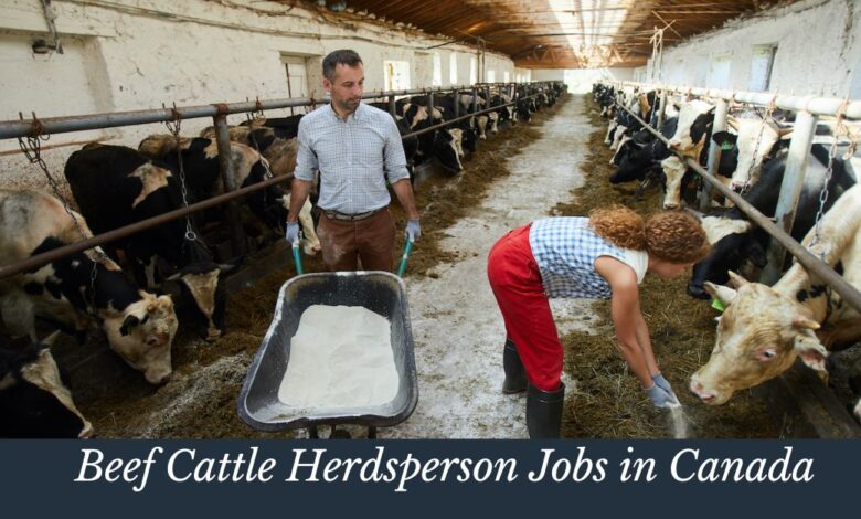 Beef Cattle Herdsperson Jobs in Canada