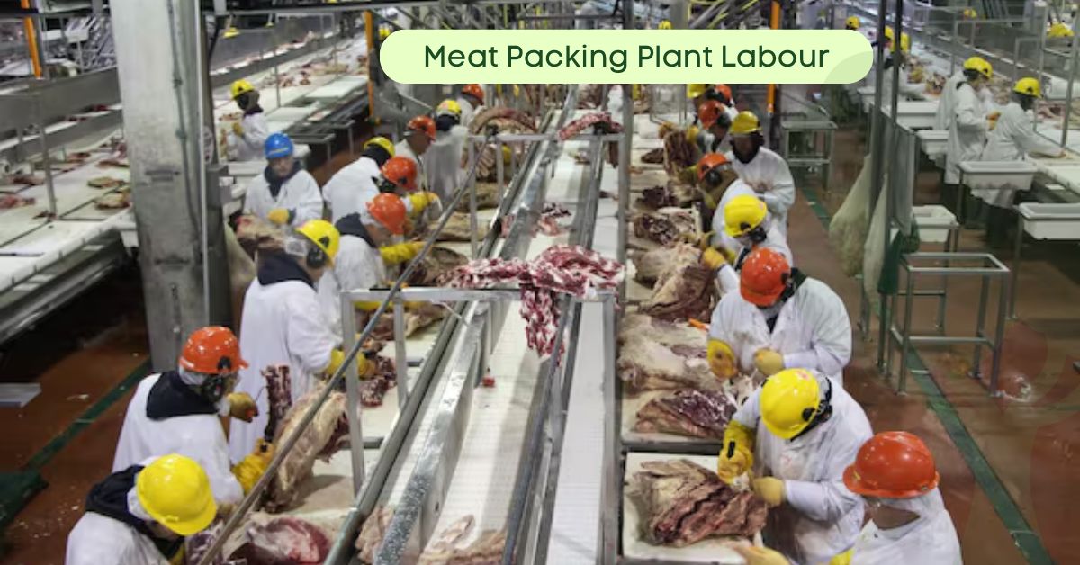 Meat Packing Plant Labour Jobs in Canada
