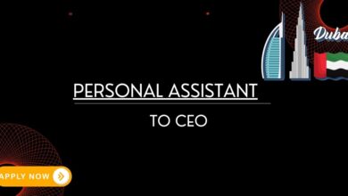 Personal Assistant to CEO