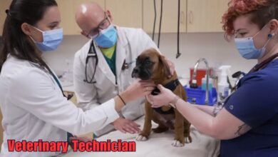 Veterinary Technician Jobs in Canada