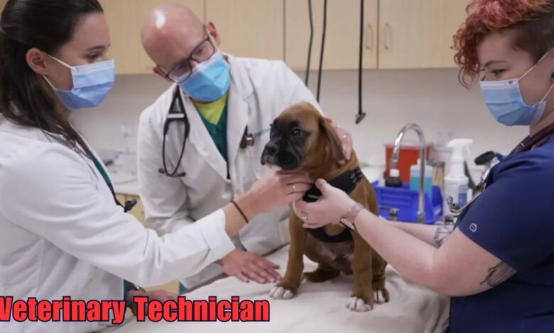 Veterinary Technician Jobs in Canada