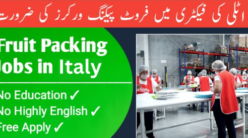 jobs in italy