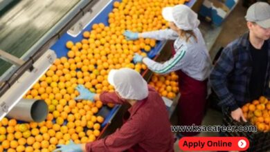 Fruit Packing Helper Jobs in Dubai