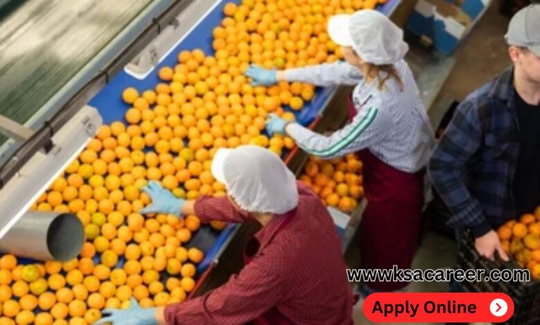 Fruit Packing Helper Jobs in Dubai