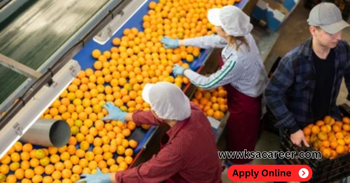 Fruit Packing Helper Jobs in Dubai