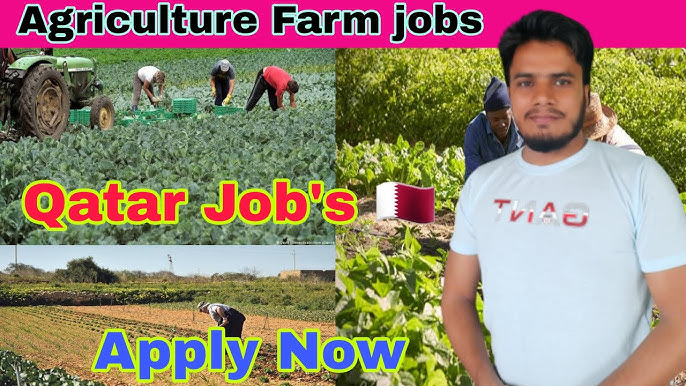 Farm Jobs in Qatar: Opportunities, Salaries, and Education Requirements