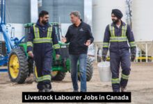 Livestock Labourer Jobs in Canada