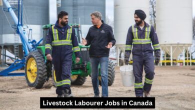 Livestock Labourer Jobs in Canada