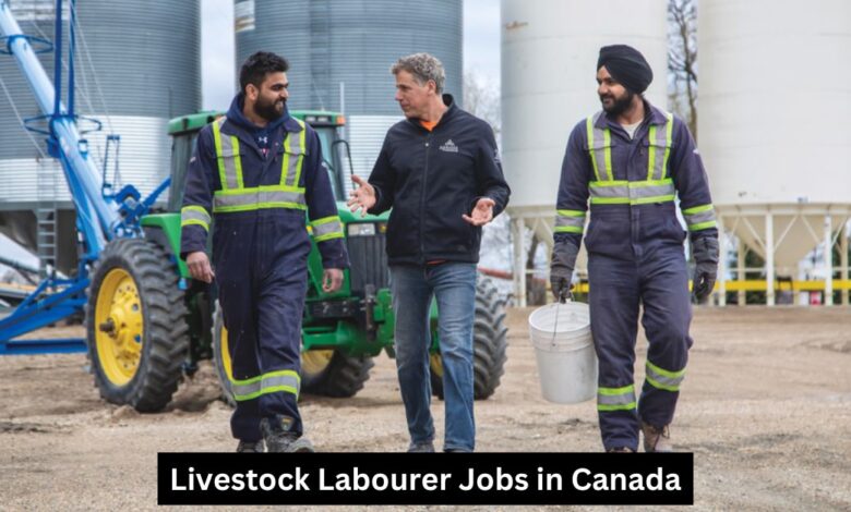 Livestock Labourer Jobs in Canada