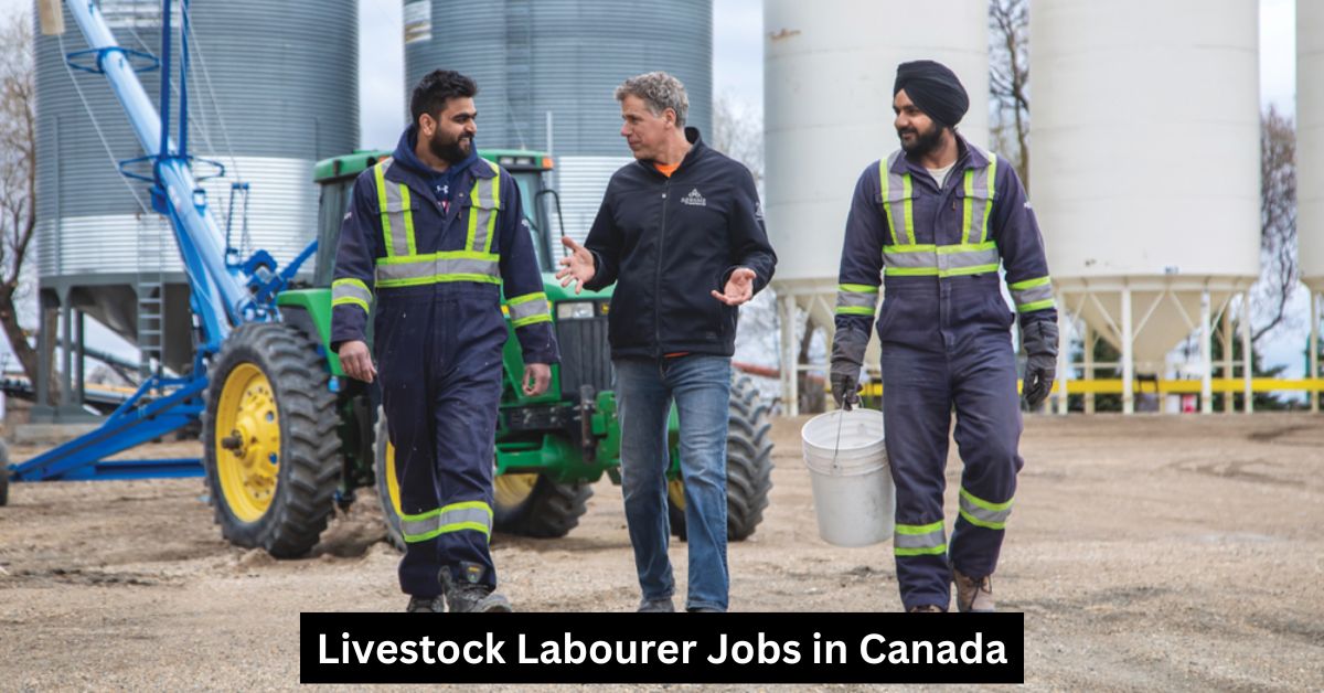 Livestock Labourer Jobs in Canada