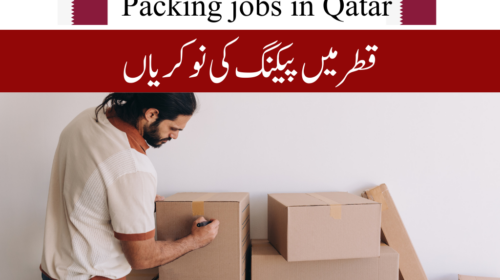 Packing Jobs in Qatar