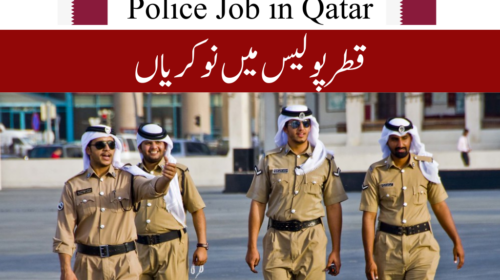Warehouse Jobs in Qatar