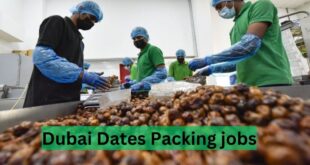 Dates Packing Helper Jobs in Dubai