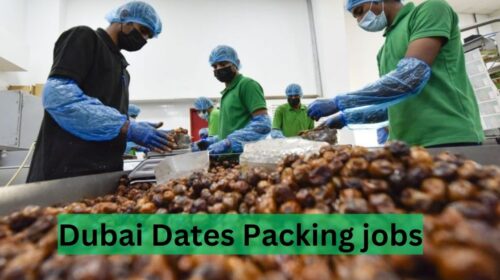 Dates Packing Helper Jobs in Dubai
