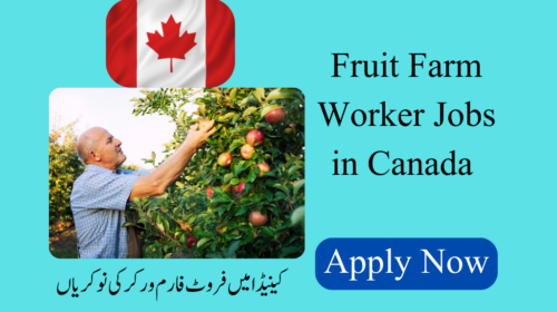 Fruit Farm Worker Jobs in Canada
