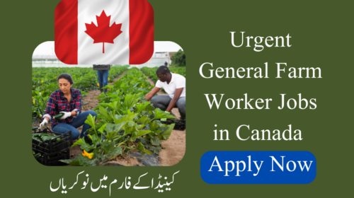 Urgent General Farm Worker Jobs in Canada - 3 Jobs