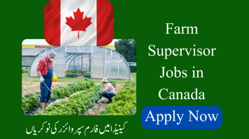Farm Supervisor Jobs in Canada