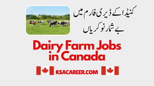Dairy Farm Jobs in Canada