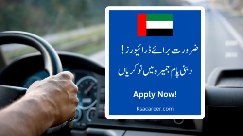 Driving Jobs in Dubai Palm Jumeirah