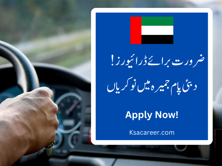 Driving Jobs in Dubai Palm Jumeirah