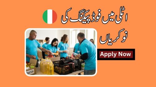 Food Packing Jobs in Italy