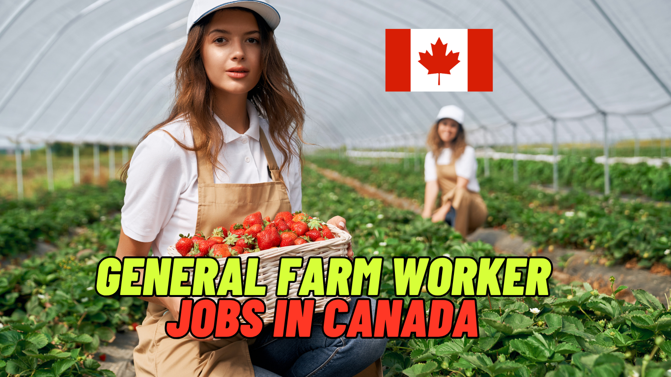 General Farm Worker Jobs In Canada