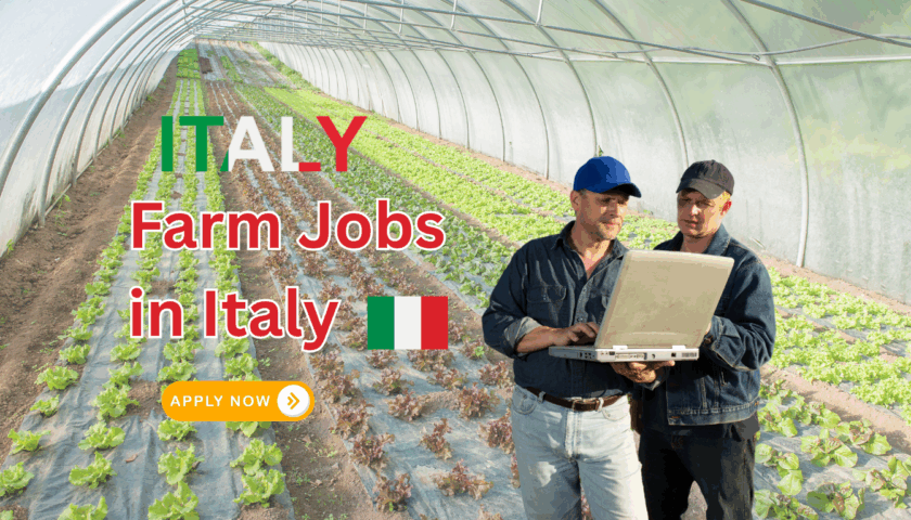 Farm Jobs in Italy with Visa Sponsorship 2025