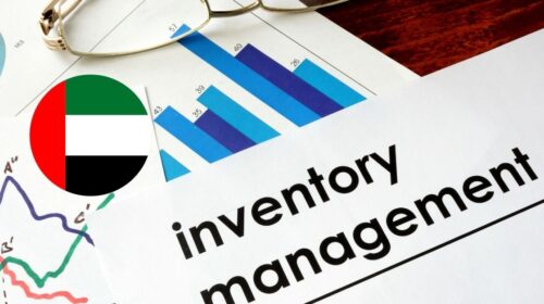 Inventory Controller Jobs in Dubai